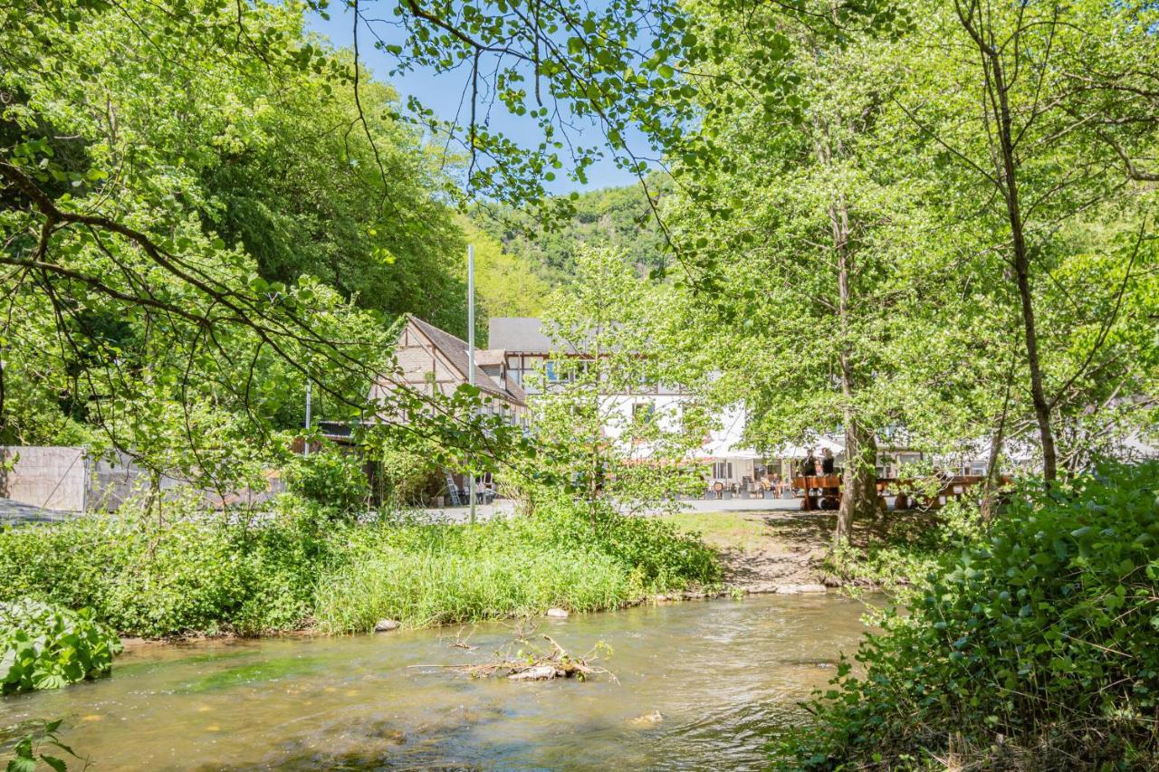 Landhotel Ringelsteiner Muehle Мозелькерн Екстер'єр фото